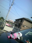 080517_081029.JPG