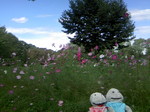 080927_124152.JPG