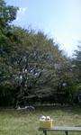 081004_121019.JPG