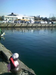 081229_094728.JPG
