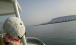 090202_091104.JPG