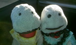 090208_074013.JPG