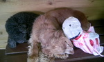 090307_120126.JPG