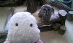 090307_130657.JPG