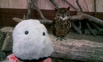090307_130914.JPG