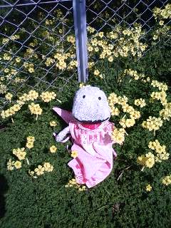090321_1005~01.jpg