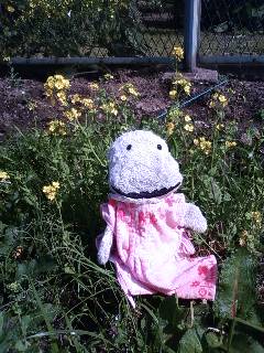 090321_1017~01.jpg