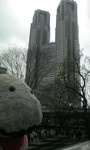 090322_080405.JPG