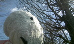 090328_102326.JPG
