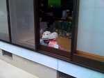 photo.jpg