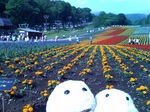 photo.jpg