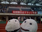 photo.jpg